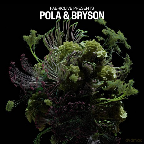 Pola Bryson: Fabriclive Presents Pola Bryson [CD]
