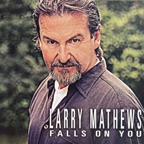 Larry Mathews: Falls On You [CD]