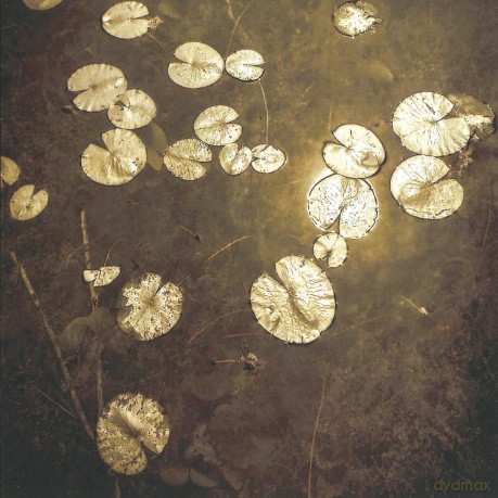 Northwoods Improvisers: Fanfares [CD]