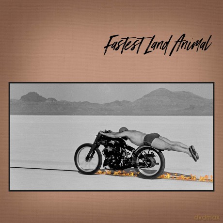 Fastest Land Animal: Fastest Land Animal [CD]
