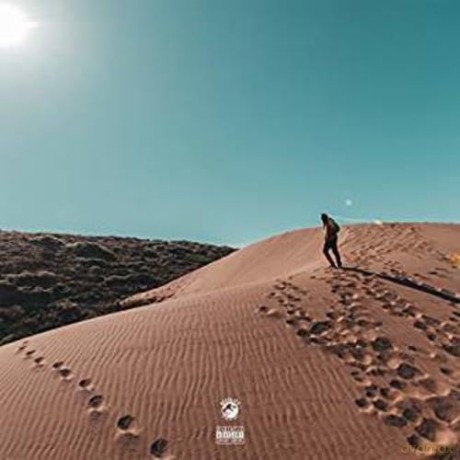 Rexx Life Raj: Father Figure 2: Flourish [CD]