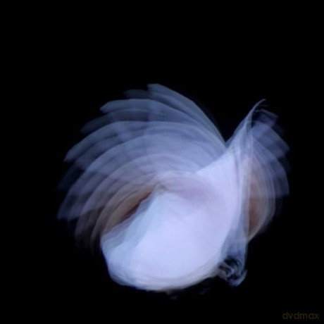 Kira Kira: Feathermagnetik [CD]