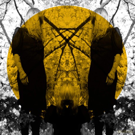 Austra: Feel It Break [CD]