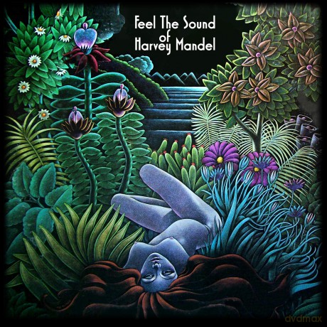 Mandel Harvey: Feel The Sound Of Harvey Mandel [CD]