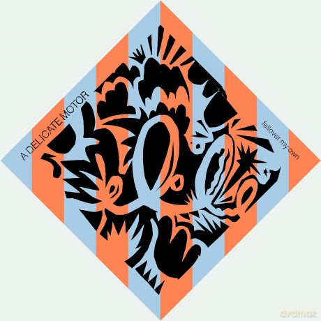 A Delicate Motor: Fellover My Own [CD]