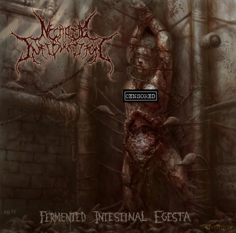 Necrotic Infibulation: Fermented Intestinal Egesta [CD]