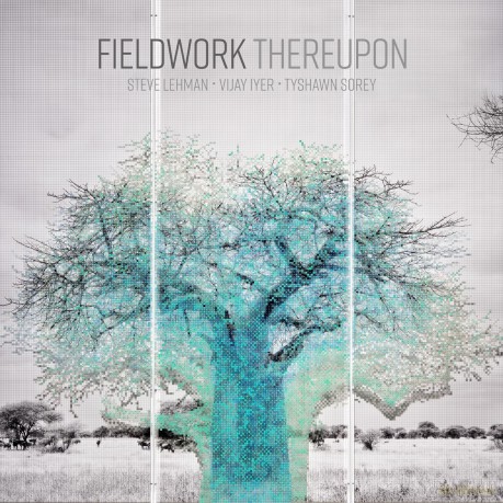 Fieldwork-Thereupon: Fieldwork-Thereupon [CD]