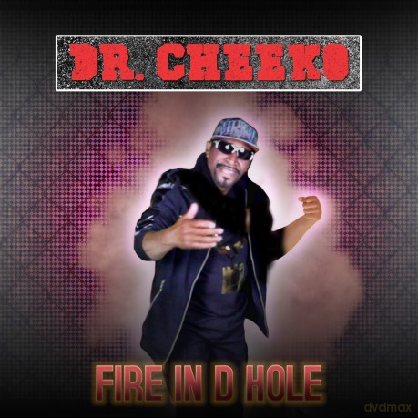 Dr. Cheeko: Fire In D Hole [CD]