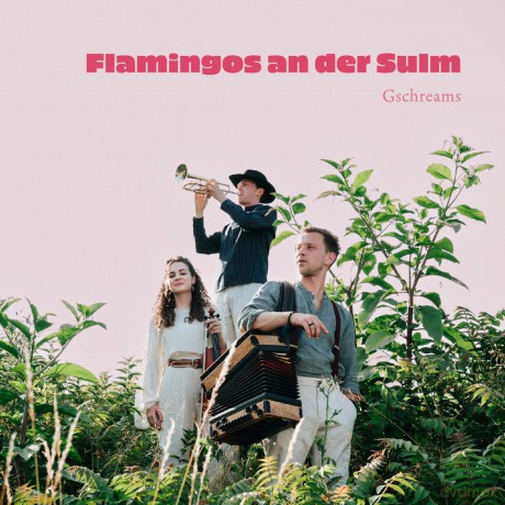 Gschreams: Flamingos an der Sulm [CD]