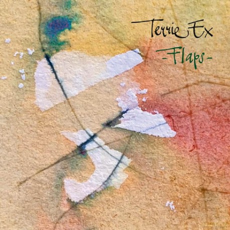 Terrie Ex: Flaps [CD]
