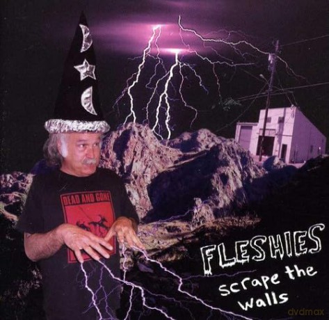 Fleshies-Scrape The Walls: Fleshies-Scrape The Walls [CD]
