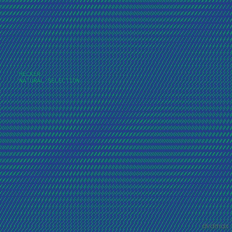 Florian Hecker-Natural Selection: Florian Hecker-Natural Selection [CD]