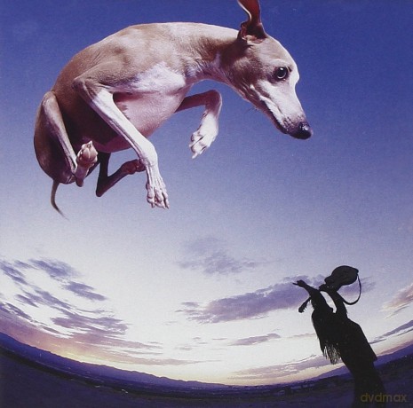 Paul Gilbert: Flying Dog [CD]