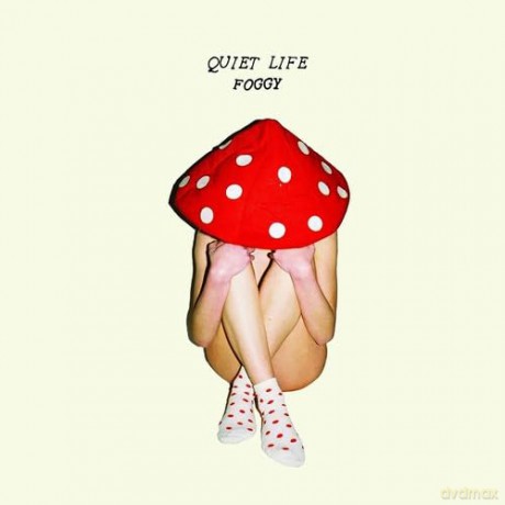 Quiet Life: Foggy [CD]