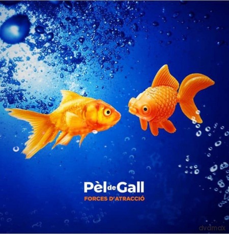 Pel De Gall: Forces Dâ´Atraccio [CD]