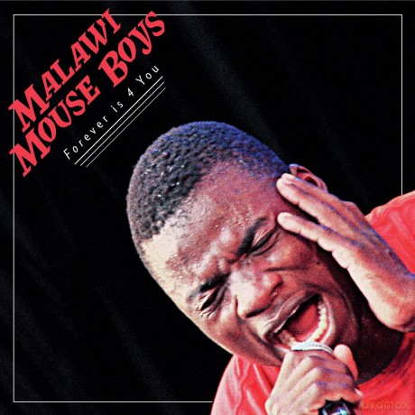 Malawi Mouse Boys: Forever Is 4 You [CD]