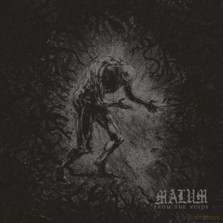 Malum: From The Voids [CD]