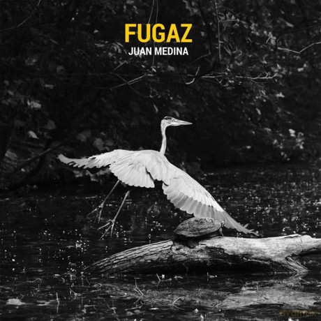 Medina Juan: Fugaz [CD]