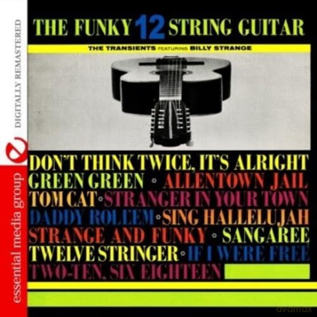 Transients: Funky 12 String Guitar [CD]