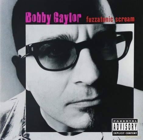 Gaylor Bobby: Fuzzatonic Scream [CD]