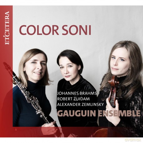Gauguin Ensemble-Color Soni: Gauguin Ensemble-Color Soni [CD]