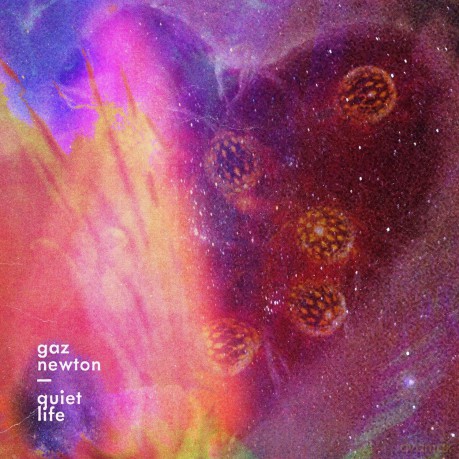 Gaz Newton-Quiet Life: Gaz Newton-Quiet Life [CD]