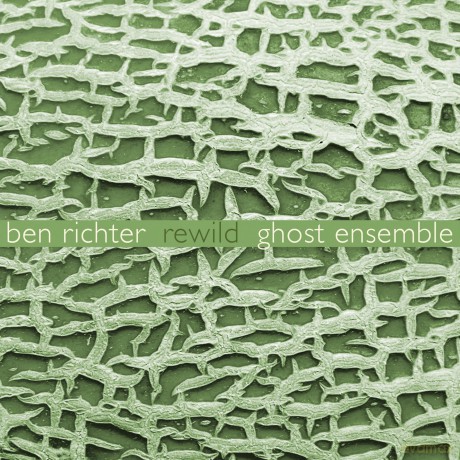 Ghost Ensemble: Margaret Lancaster Sky Macklay Ben Richter Chris Nappi Lucia Helen Stavros Martine T: Ghost Ensemble: Margaret Lancaster Sky Macklay Ben Richter Chris Nappi Lucia Helen Stavros Martine T [CD]
