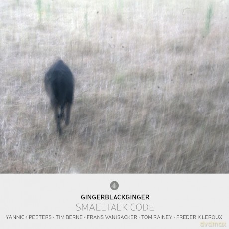 Gingerblackginger-Smalltalk Code: Gingerblackginger-Smalltalk Code [CD]