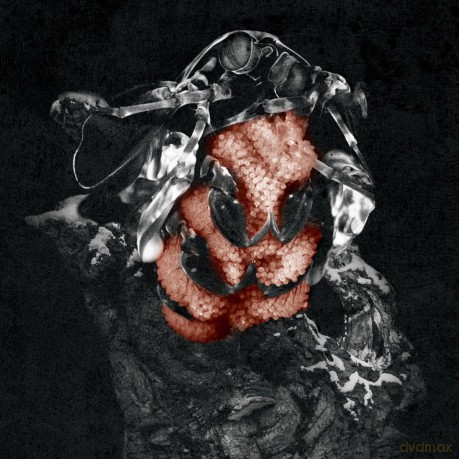 My Lonely Sea: Gloom [CD]