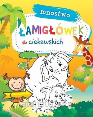 Mnóstwo łamigłówek dla ciekawskich [KSIĄŻKA]