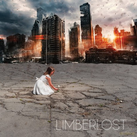 Limberlost: Good Fight [CD]