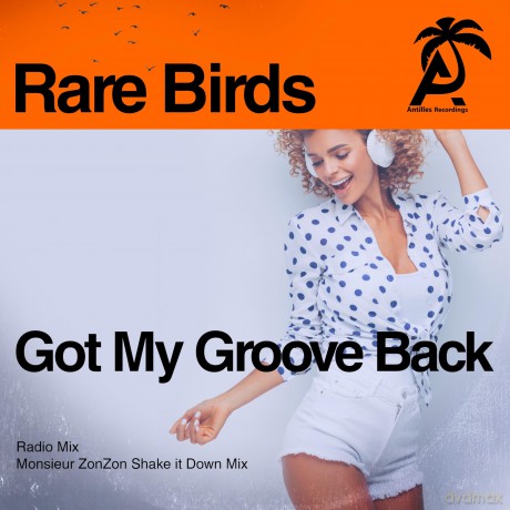 Rare Birds: Got My Groove Back [CD]