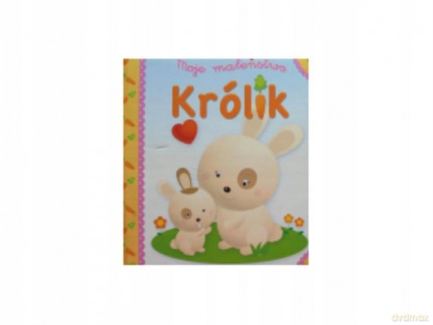 Moje maleństwo - Królik [KSIĄŻKA]