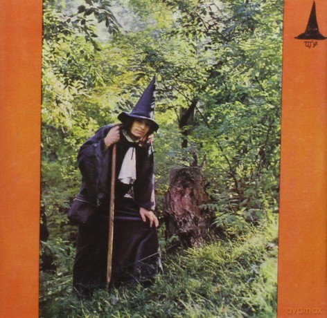 Gandalf The Grey: Grey Wizard Am I [CD]