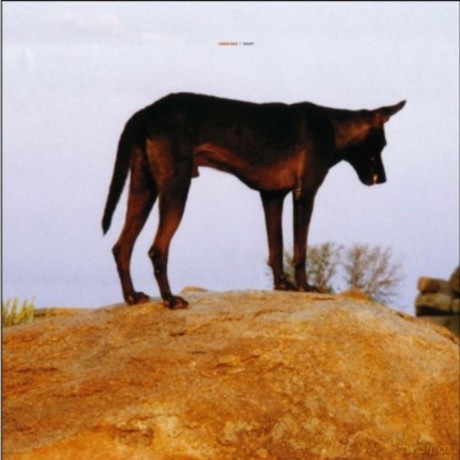 Fenin: Grounded [CD]