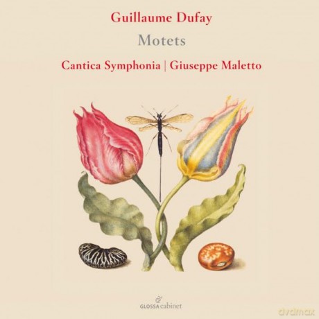 Cantica Symphonia: Guillaume Dufay Motets [CD]