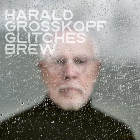 Harald Grosskopf-Glitches Brew -Digi- [CD]