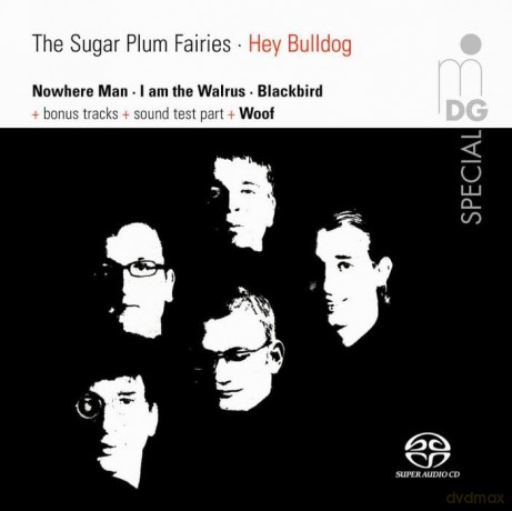 The Sugar Plum Fairies: Hey Bulldog [CD]