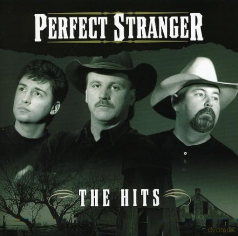 Perfect Stranger: Hits [CD]