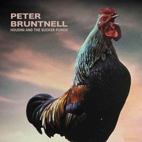 Peter Bruntnell: Houdini And The Sucker Punch [CD]