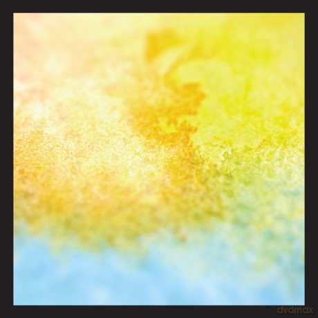 Birthmark: How You Look When You're Falling Down [CD]