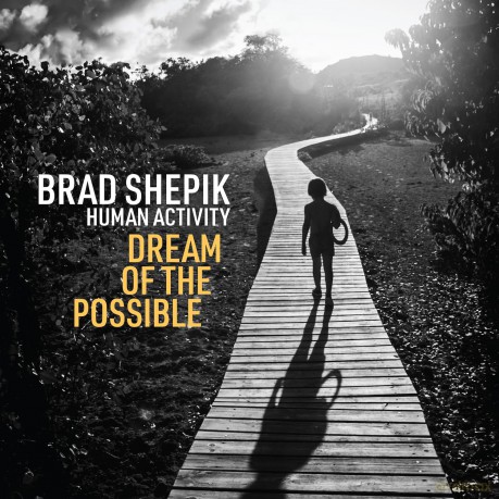Shepik Brad: Human Activity Dream Of The Possible [CD]