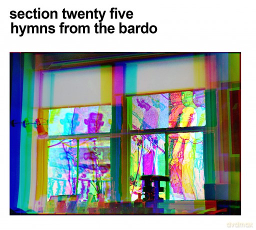 Section 25: Hymns From The Bardo [CD]