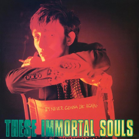These Immortal Souls: I M Never Gonna Die Again [CD]