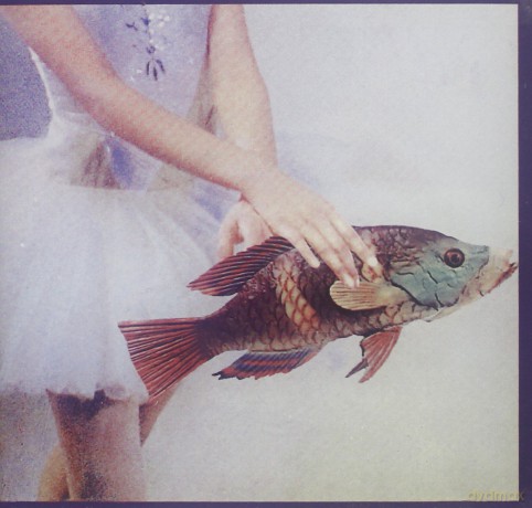Burke Chris: Idioglossia [CD]