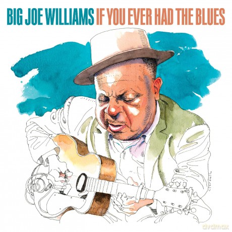 Williams Big Joe: If You Ever Had The Blues [CD]