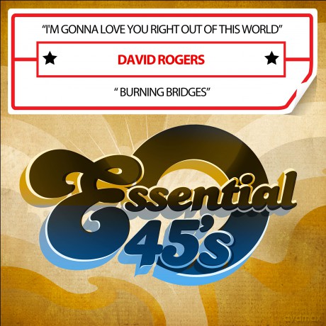Rogers David: I'm Gonna Love You Right Out Of This World [CD]