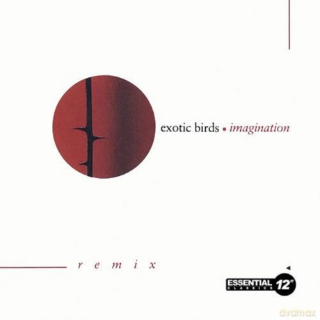 Exotic Birds: Imagination [CD]