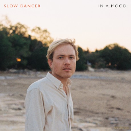 Slow Dancer: In A Mood [CD]