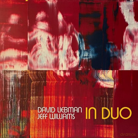 Liebman Dave/Jeff Williams: In Duo [CD]